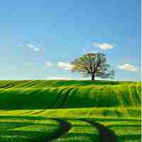 能‍给﻿网﻿页‌加‌速​的﻿加﻿速﻿器﻿